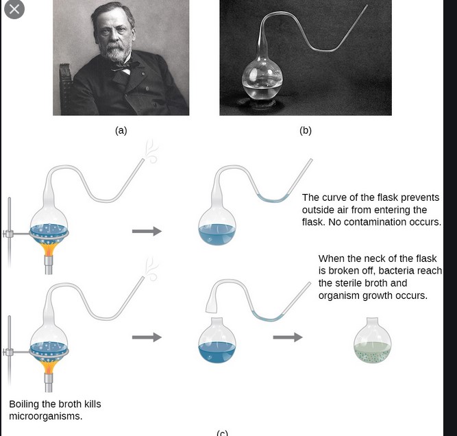 Pasteur's experiment