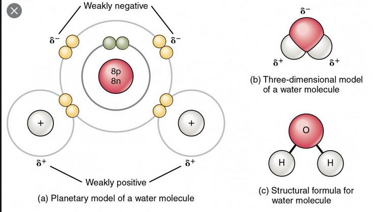 Covalent bonds