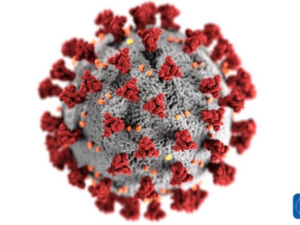 Coronavirus   PHOTO