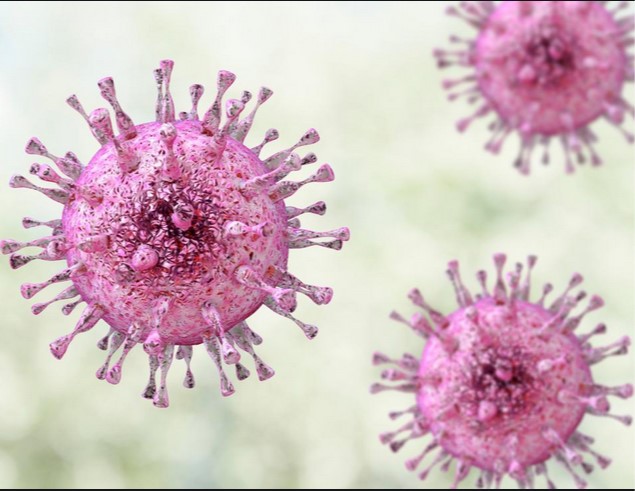 Herpes virus   PHOTO